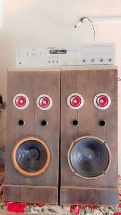 10" 2 Speakers With Amplifier