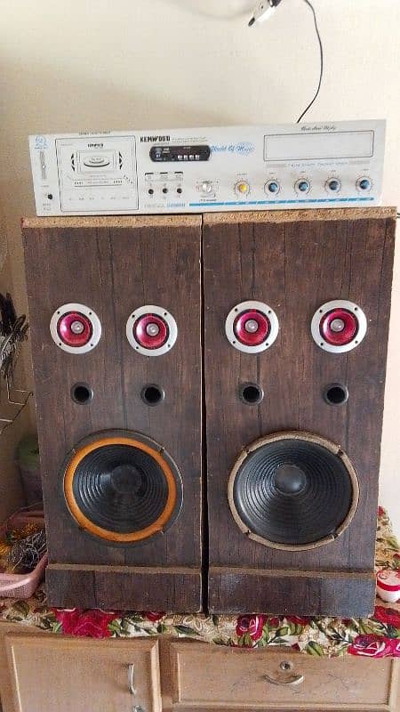 10" 2 Speakers With Amplifier 2