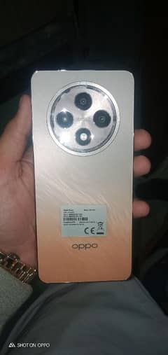 OPPO Reno 12F for sale