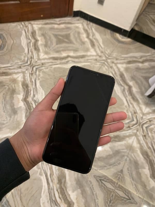 XS MAX 256 GB 0