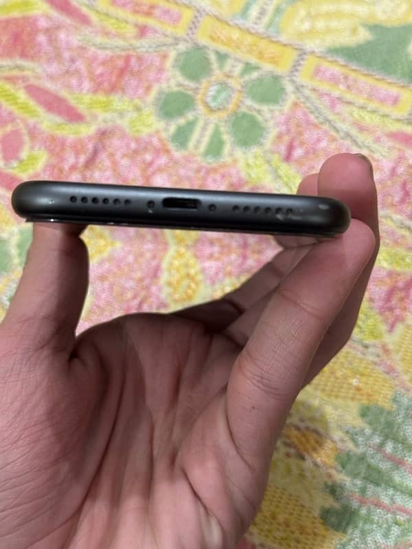 Iphone 11 in lush condition water pack 5