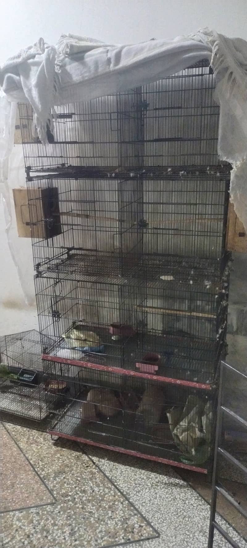 Cage for birds 0