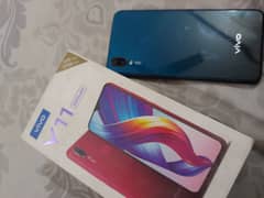 vivo