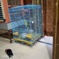 parrot cage