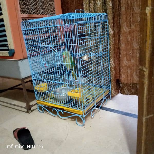 parrot cage 0