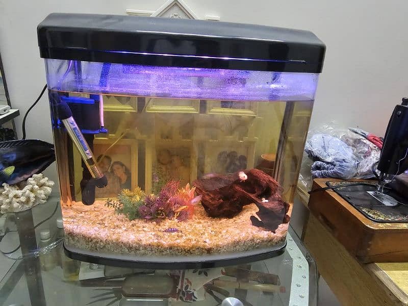 Imported Fish Aquarium with Heater, Fish, Power Filter 0