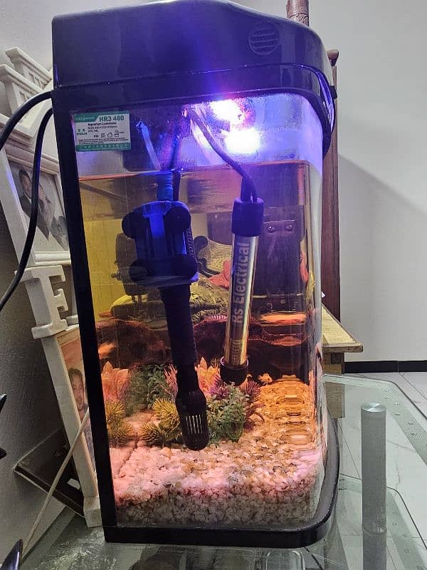 Imported Fish Aquarium with Heater, Fish, Power Filter 1