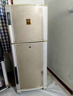 Fridge