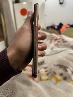 IPhone 11 Pro Pta Approved