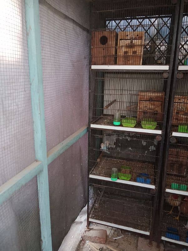 Used Cage Good Condition Faisalabad 1