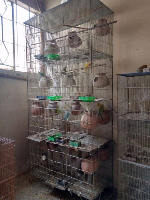 Birds and cages 0