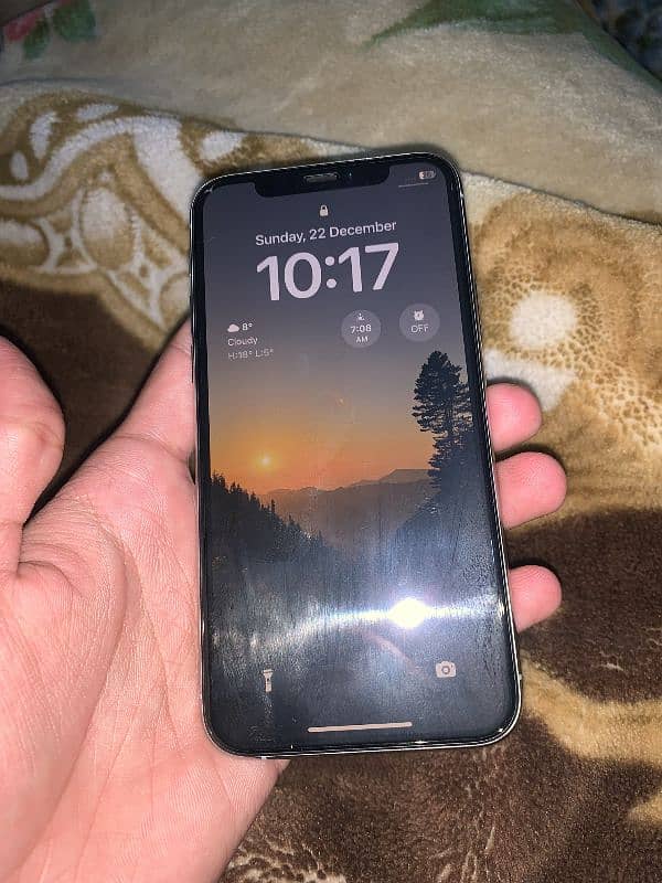 iPhone 11 Pro 256 GB 2