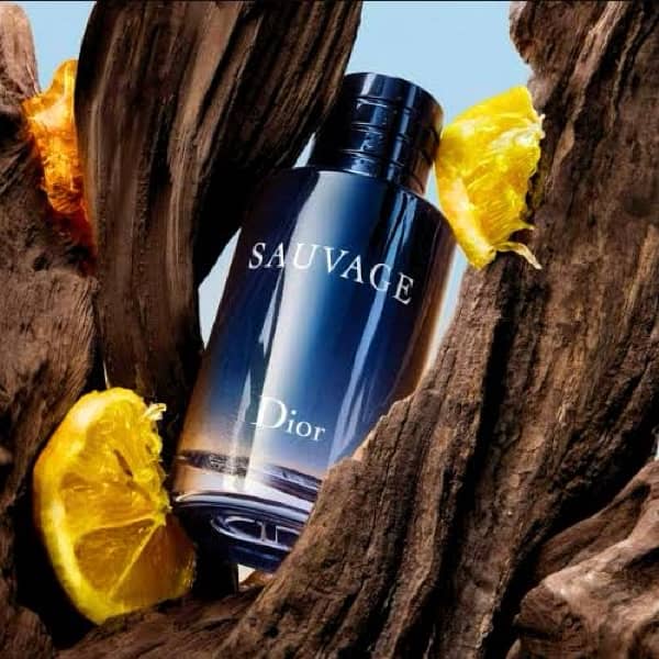 Dior Sauvage For Men EDP 100Ml 1