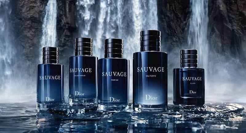 Dior Sauvage For Men EDP 100Ml 2