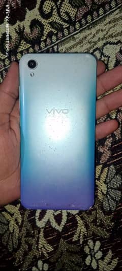 vivo