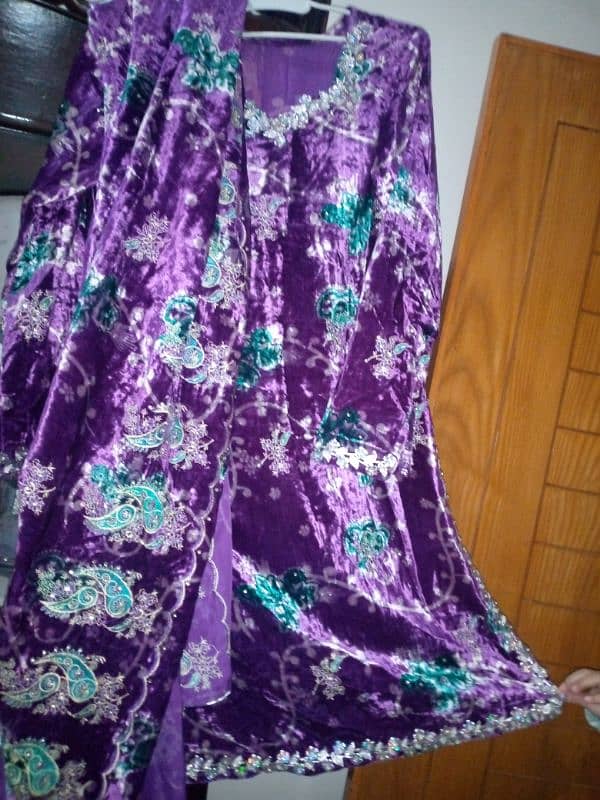 velvet embroided dress & banarsi dress . 2