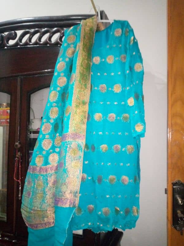 velvet embroided dress & banarsi dress . 5