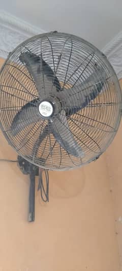 fan