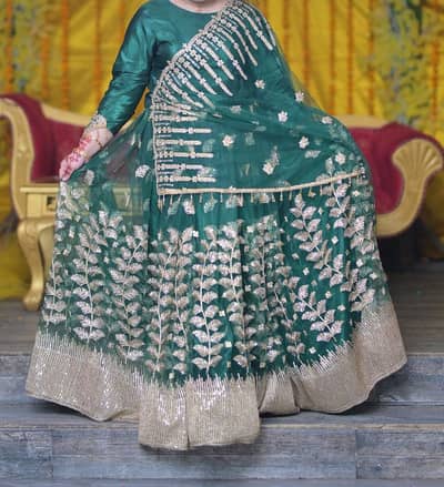 lehanga/ bridal lehanga/ embroidered lehanga/ mehandi lehanga