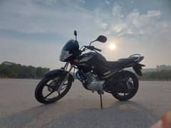 Yamaha YBR 125 - Urgent Sale (10/10 Condition) - 2023 Model