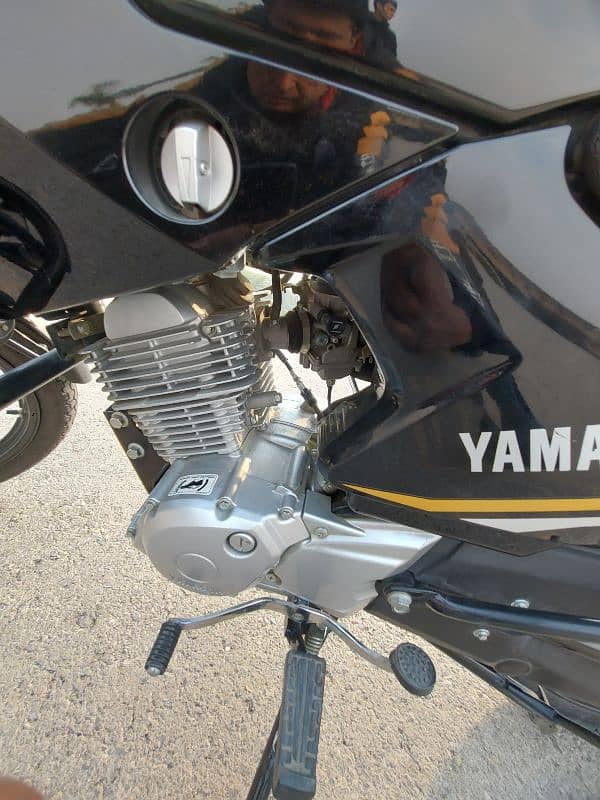 Yamaha YBR 125 - Urgent Sale (10/10 Condition) - 2023 Model 6