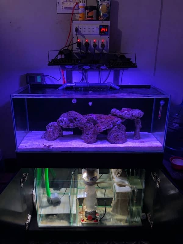 Aquarium saltwater full Setup 0