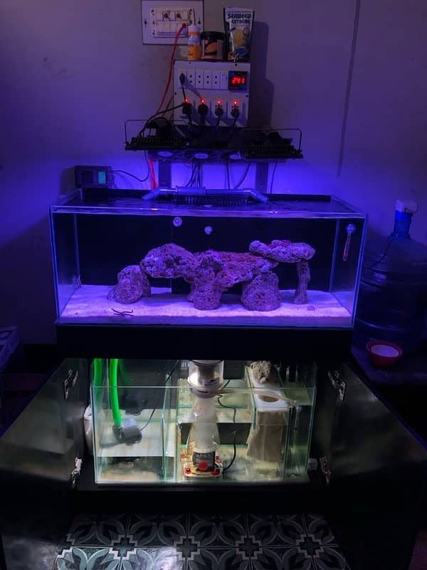 Aquarium saltwater full Setup 2