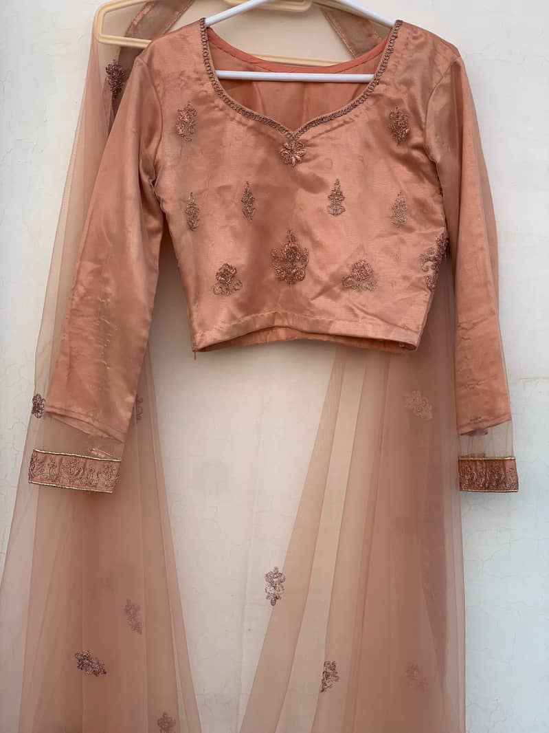 Pastel Peach Lehnga Choli (Extra Small) 3