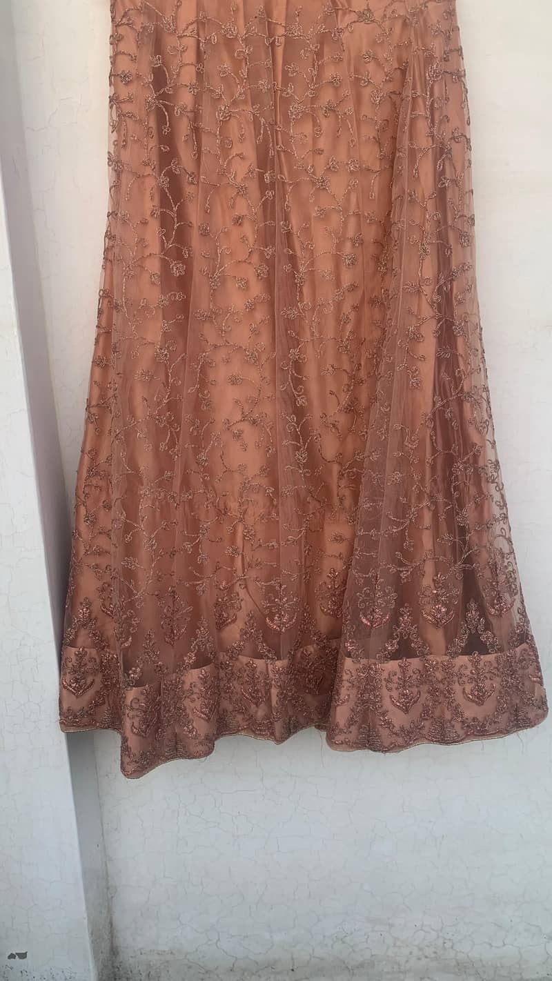 Pastel Peach Lehnga Choli (Extra Small) 5