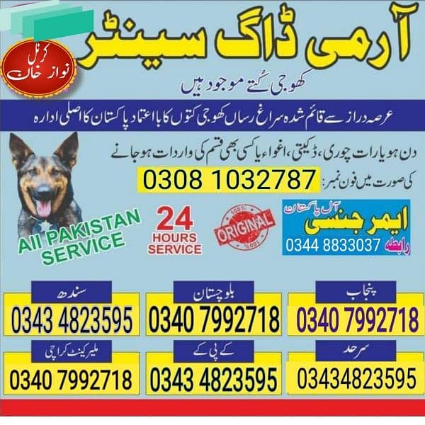 army dog centre Pakistan 0343 4823595 0