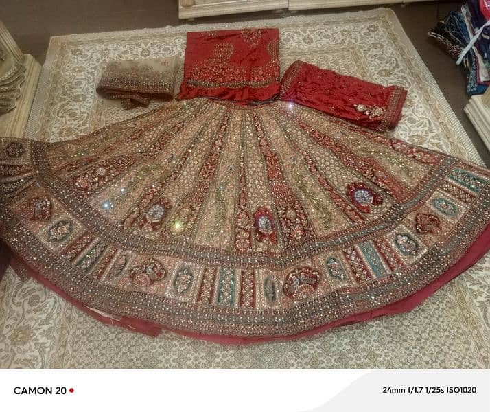 BRIDAL SHARARA BEAUTIFUL INDIAN 1