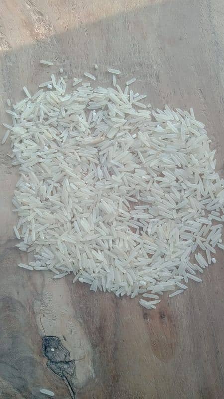 Rice dealr nd hole sale 1