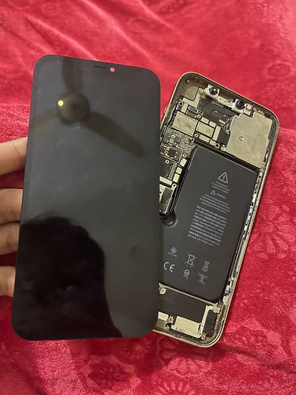 iphone 12 pro max gold color board apple logo pa restart hota 0