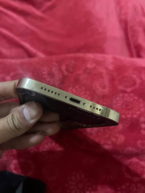 iphone 12 pro max gold color board apple logo pa restart hota 5