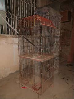 cages for birds