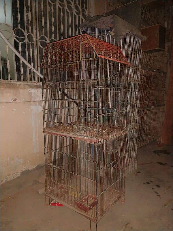 cages for birds 0