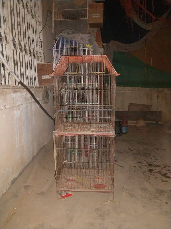 cages for birds 1