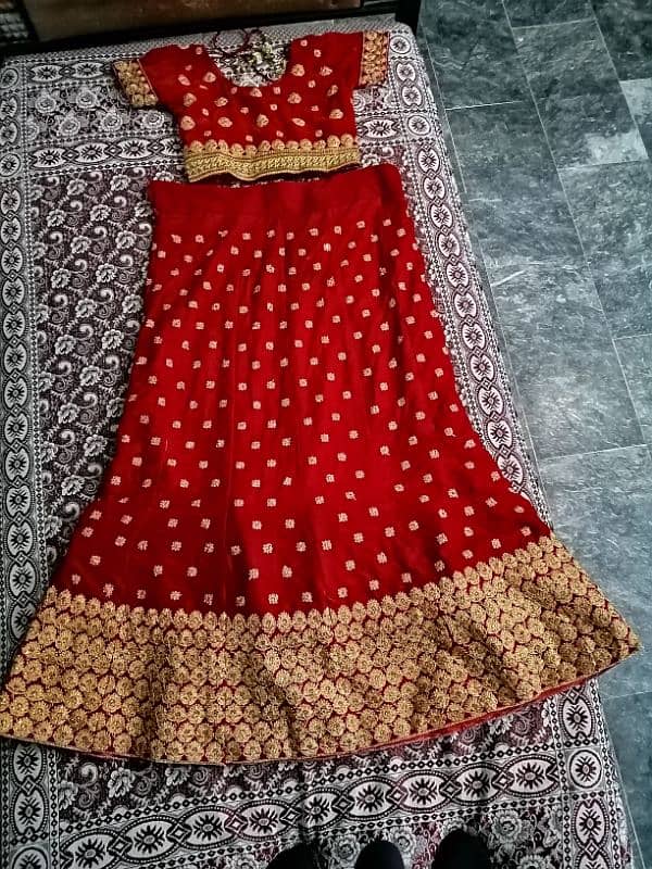 bridle blouse + lehnga 0