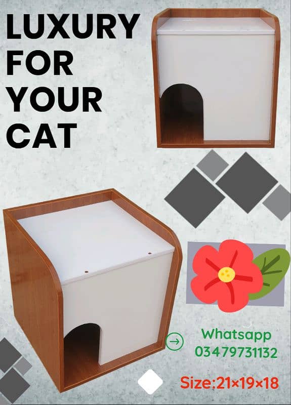 CAT HOUSE 6