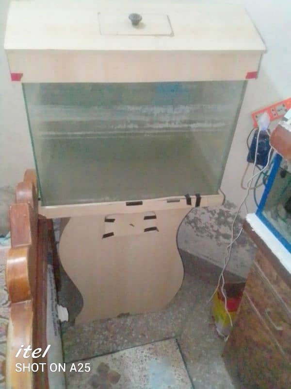 Fish aquarium 0