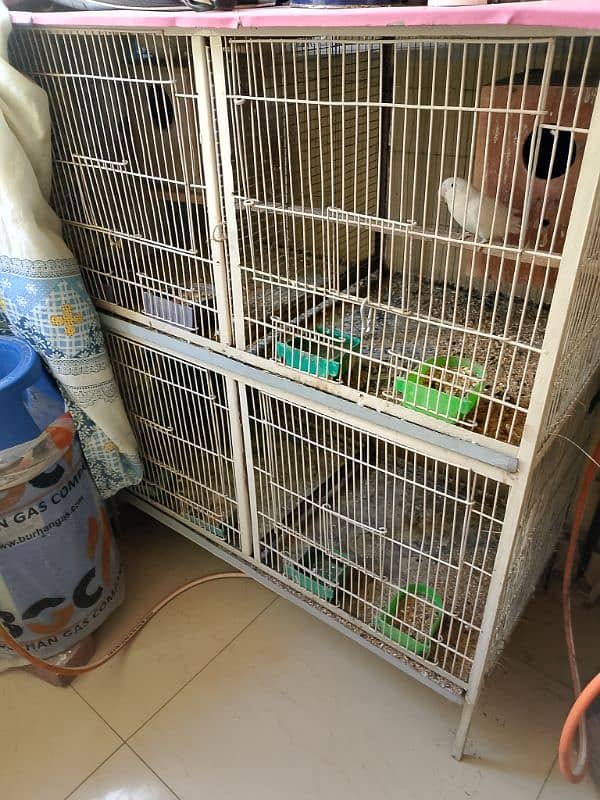 4 Portion Iron Cage for Sale Urgent Sale 0