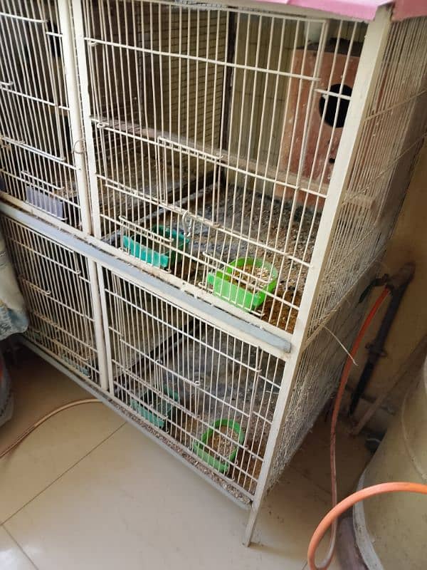 4 Portion Iron Cage for Sale Urgent Sale 1