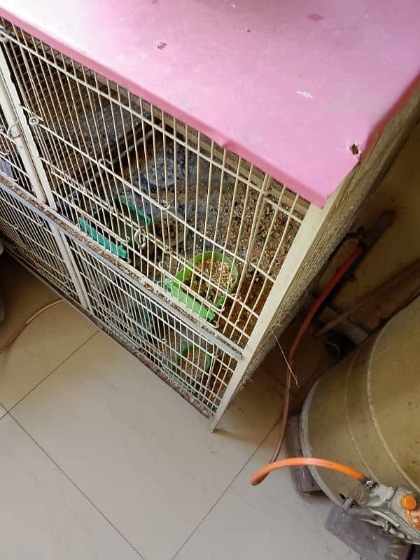 4 Portion Iron Cage for Sale Urgent Sale 2