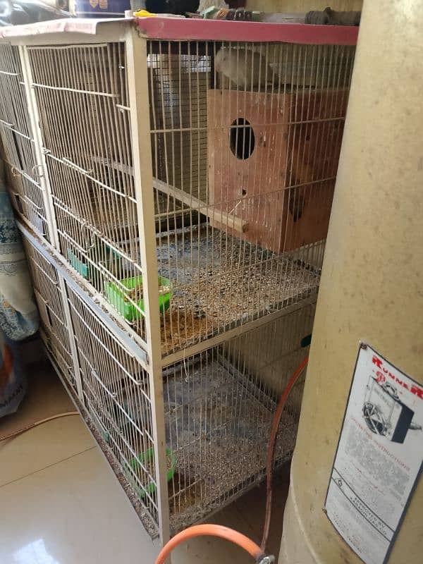 4 Portion Iron Cage for Sale Urgent Sale 3