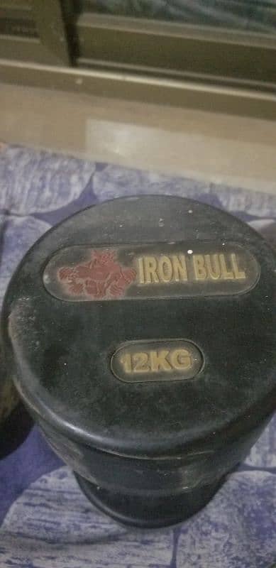 iron bull dumbles pair 2