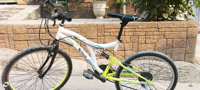 Turkish bicycle