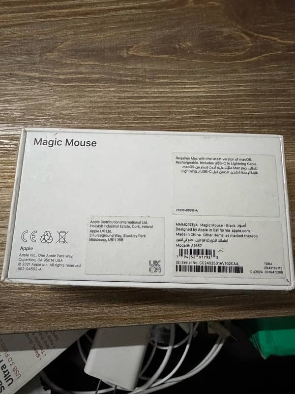 Apple Magic Mouse 1