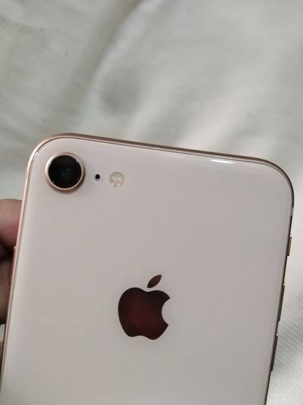 iphone 8 64gb non pta KOTHA SWABI 1