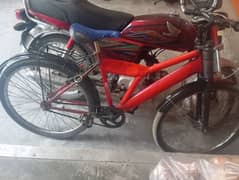 cycle for sale