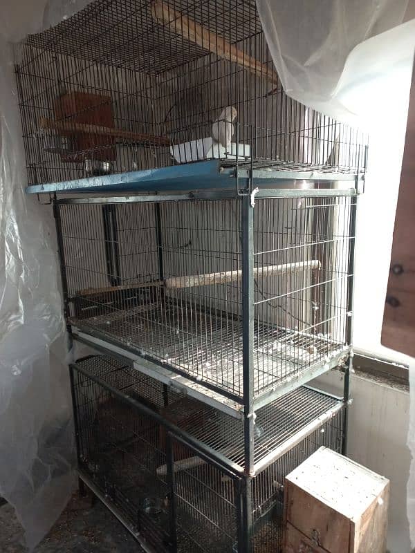 3 birds cage for sell 1